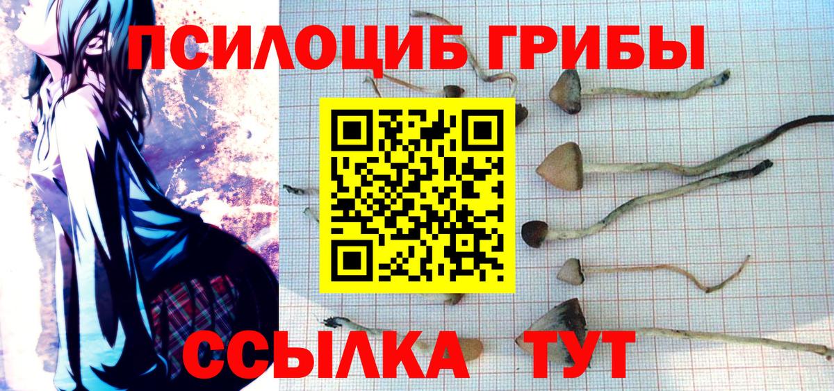 Псилоцибиновые грибы MAGIC MUSHROOMS Кохма